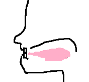 海外で習うフォニックスはこんな感じ アルファベットbの音の出し方 どこでもタフ In 海外